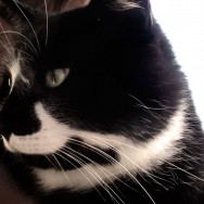 katti