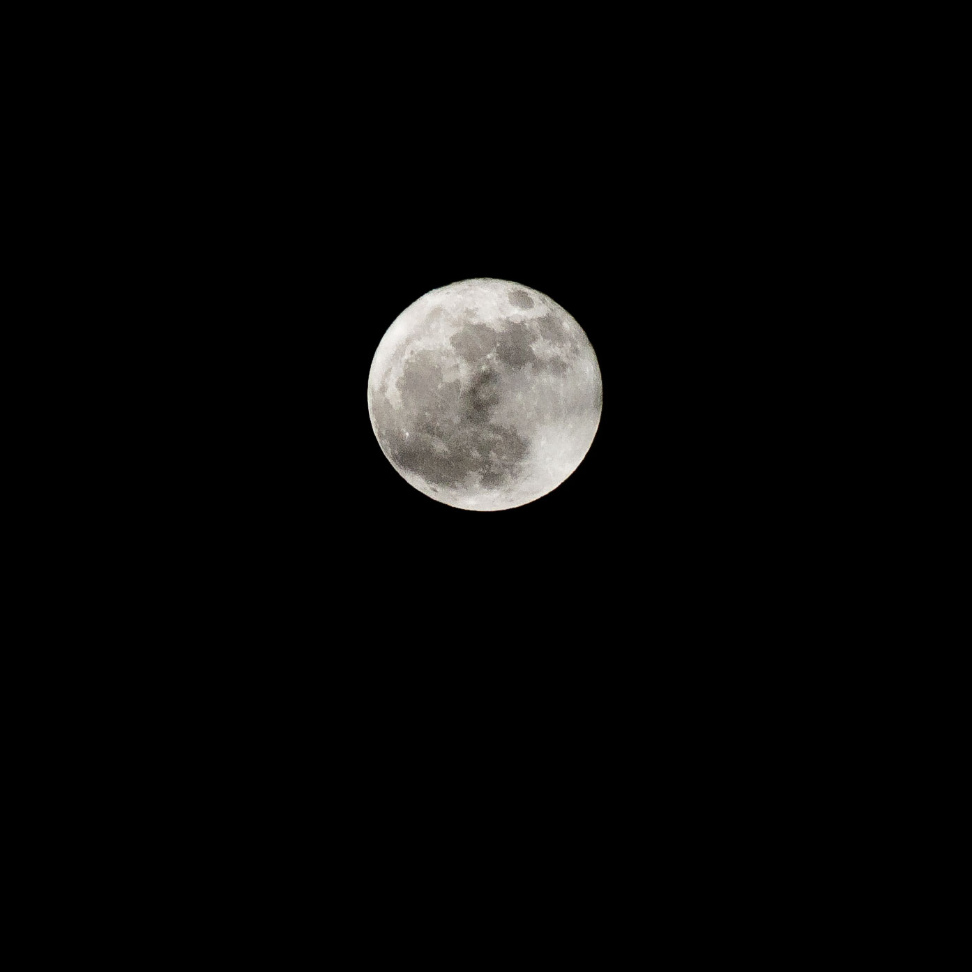 _DSC0128